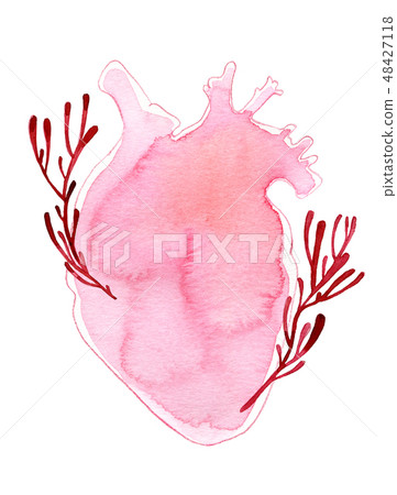 Watercolor realistic shape human heart with stems 48427118