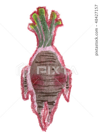Little cute watercolor mandrake character on white Little cute watercolor mandrake character on white 48427157