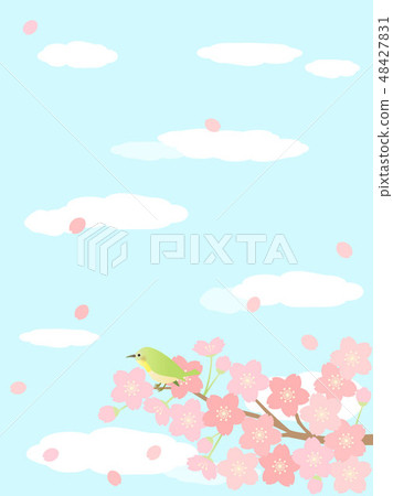 櫻花93櫻花 48427831