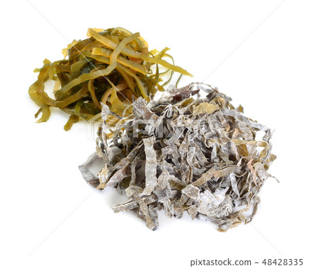 Heaps of raw and dried kelp isolated  48428335