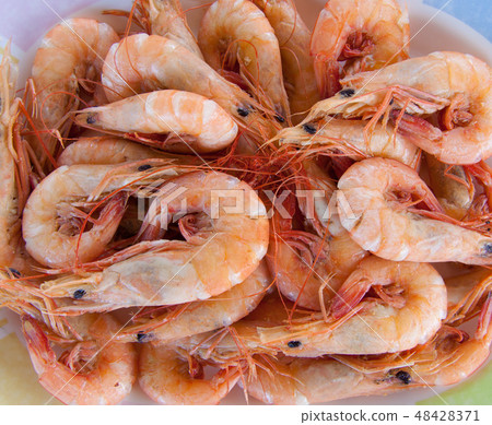 shrimps shrimps 48428371