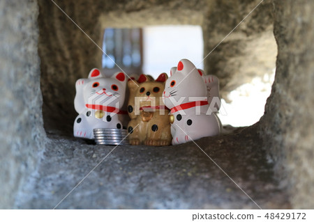 Pilgrimage Pilgrimage 48429172