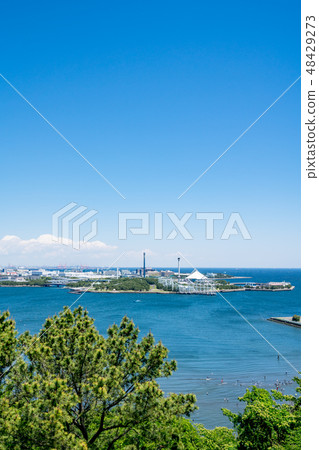 [神奈川縣]八景島海洋樂園 48429273