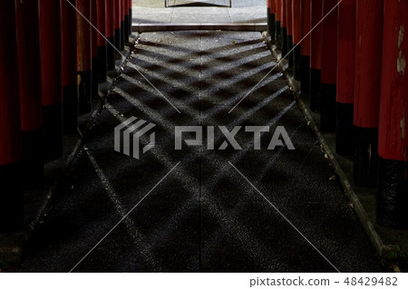 Intersection of light 48429482