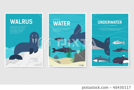 Set of Sea mammals pattern concept. Art animal, magazine, book, poster, abstract, banners, element