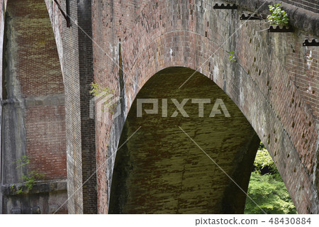 臼井三橋 48430884