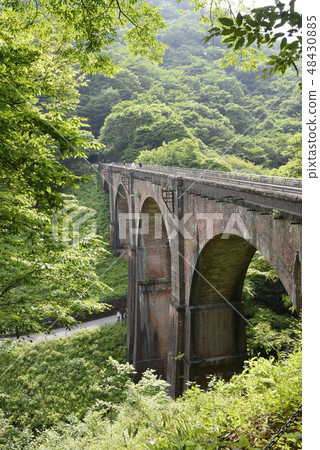 臼井三橋 48430885