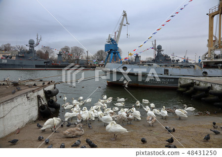 Ship in the bay of the city Baltiysk, Russia 48431250