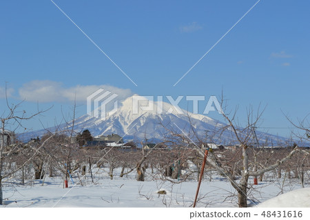 I wish for Iwakiyama from the apple orchard on the outskirts of Hirosaki in winter I wish for Iwakiyama from the apple orchard on the outskirts of Hirosaki in winter 48431616