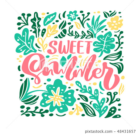 Flower Vector greeting card with text Sweet Summer. Isolated colored flat illustration on white 48431657
