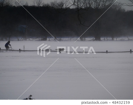Dog sled race of snowstorm Landscape 48432159
