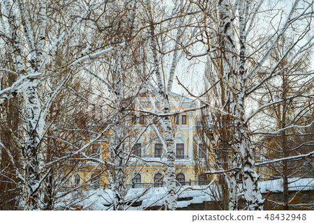 mansion in a winter birch grove above the overpass 48432948