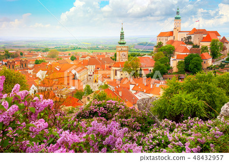 Old Historic European Town with castle Old Historic European Town with castle 48432957