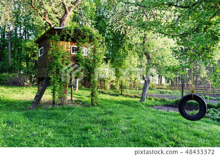 House on tree House on tree 48433372
