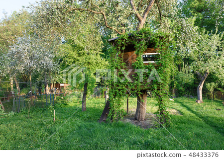 House on tree 48433376
