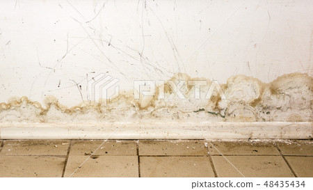 Big wet spots and black mold on wall  48435434