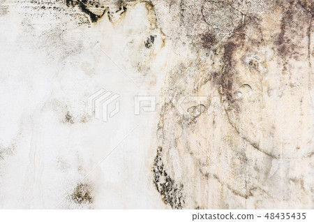 Big wet spots and black mold on wall  48435435