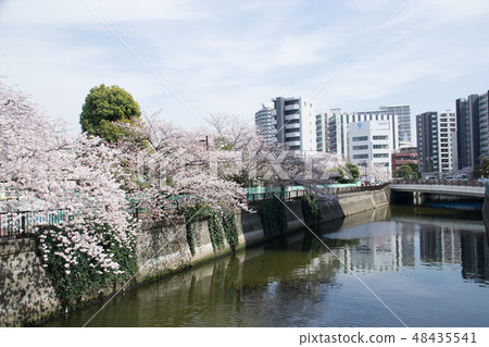 Shikugawa Shikugawa 48435541