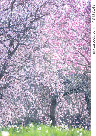 Izumi Recycling Environment Park 48438148