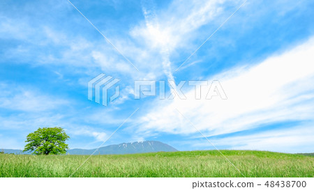 清爽的高原景觀 清爽的高原景觀 48438700