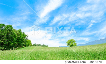 Refreshing highland landscape 48438703