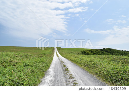 白貝殼路 48439809