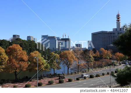 Scenery of Kasumigaseki in Chiyoda-ku, Tokyo, autumn 48441207