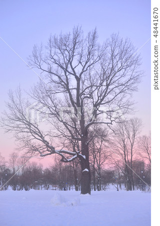 Winter landscape at sunset. Winter landscape at sunset. 48441670