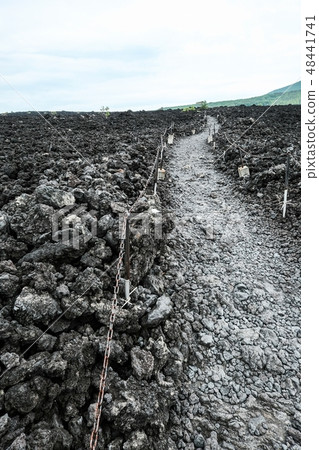 烘烤熔岩流的風景 48441741