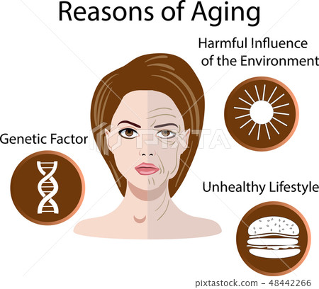 Vector illustration with reasons of aging isolated 48442266