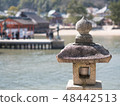 Lantern 48442513