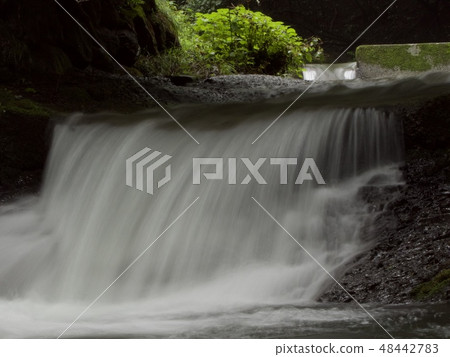 參觀清溪 48442783