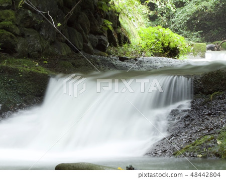 參觀清溪 48442804