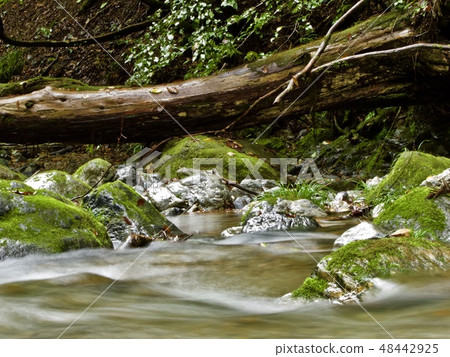 參觀清溪 48442925