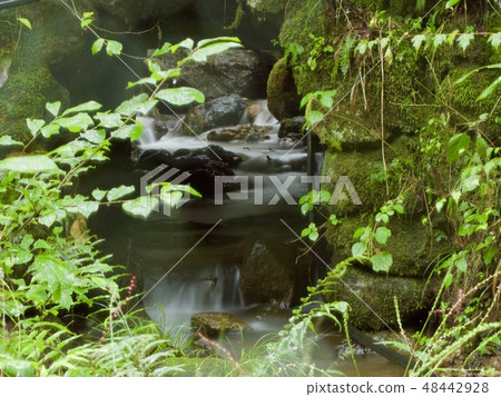 參觀清溪 48442928