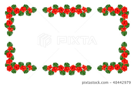 Red hibiscus Monstera Plumeria Frame 48442979