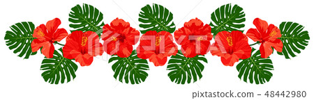 Red Hibiscus Monstera Decoration Red Hibiscus Monstera Decoration 48442980