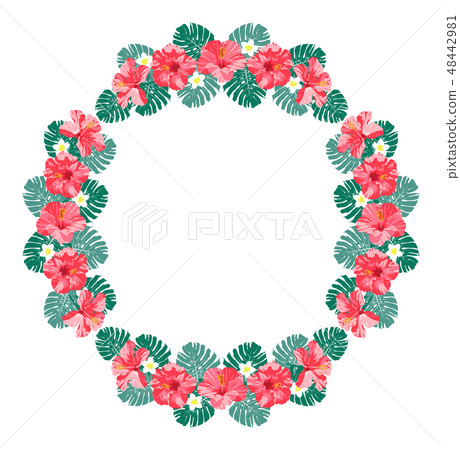 Pink Hibiscus Monstera Plumeria Frame Round Pink Hibiscus Monstera Plumeria Frame Round 48442981