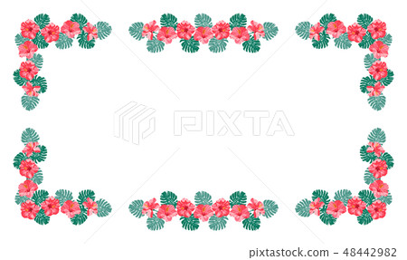 Pink Hibiscus Monstera Plumeria Frame Pink Hibiscus Monstera Plumeria Frame 48442982