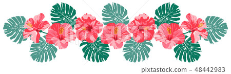 Pink hibiscus monstera decoration Pink hibiscus monstera decoration 48442983