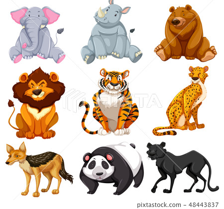 Set of cartoon animals Set of cartoon animals 48443837