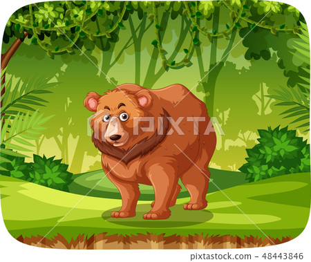 Brown bear in jungle scene 48443846