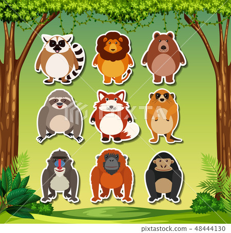 set of animal sticker packs 48444130