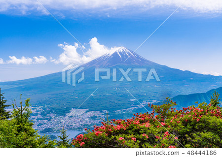 (Yamanashi Prefecture) Mt. Fuji descended from Azalea blooming new roads, crowned with snow 48444186