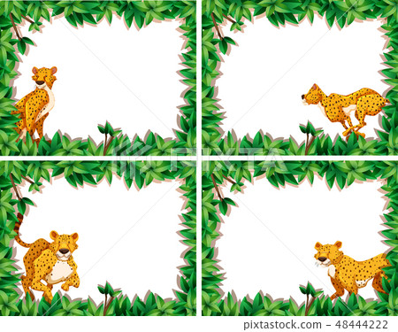 Set of cheetah on nature frame 48444222