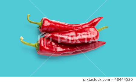 Red chili pepper isolated 48444520
