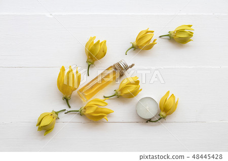 natural herbal oils from flower ylang ylang 48445428