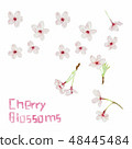 Sakura Sakura材料為春天裝飾消息 48445484
