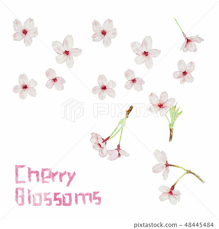 Sakura Sakura材料為春天裝飾消息 Sakura Sakura材料為春天裝飾消息 48445484