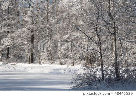 Winter landscape with a park 48445529